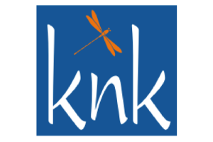knk Business Software AG